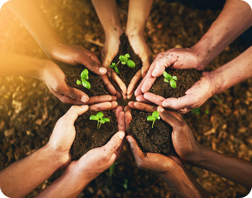 Prince Green Initiative Image